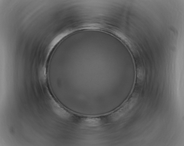X0000113951466200909251329