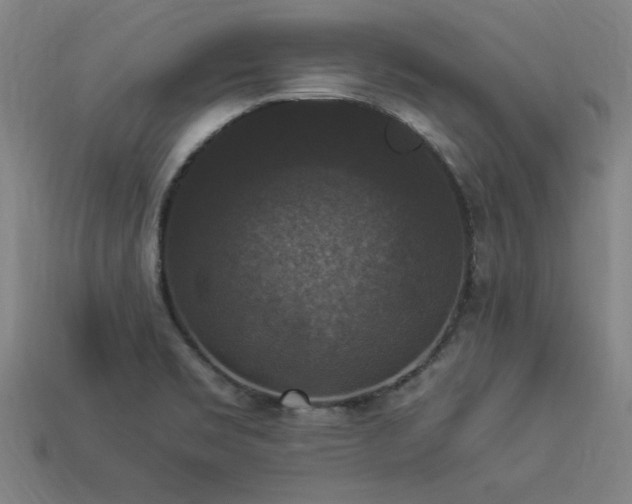 X0000113951469200909251329