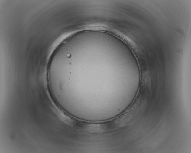 X0000113951470200909251329