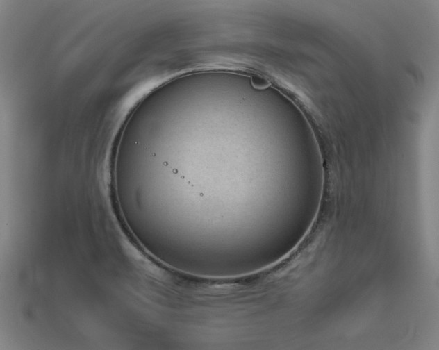 X0000113951471200909251329