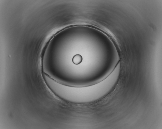 X0000113951472200909251328