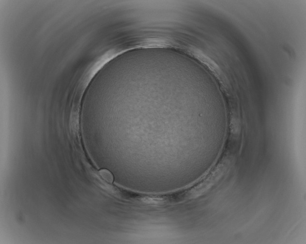 X0000113951473200909251328