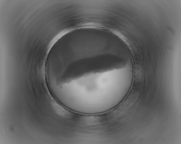 X0000113951474200909251328