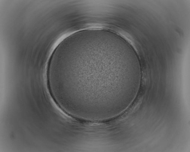 X0000113951475200909251328