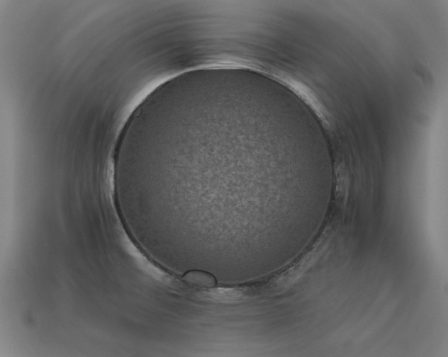 X0000113951476200909251328