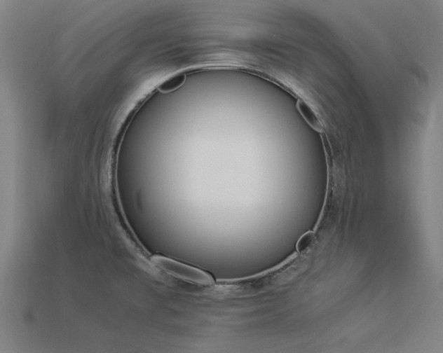 X0000113951477200909251328