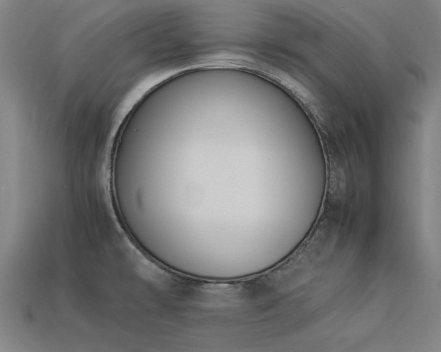 X0000113951478200909251328