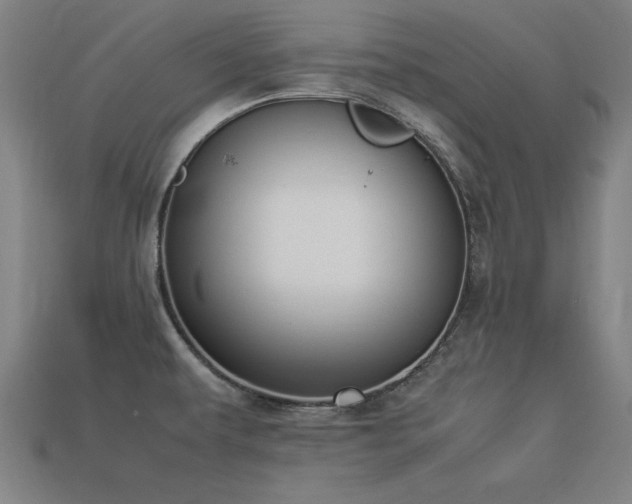 X0000113951479200909251328