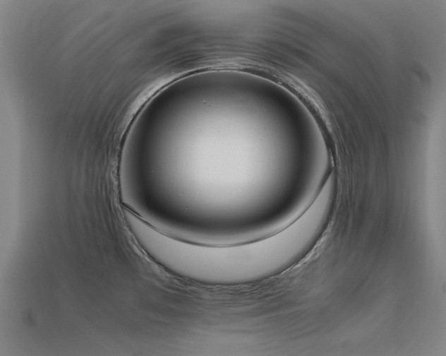 X0000113951481200909251328