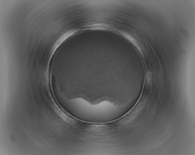 X0000113951482200909251328