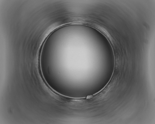 X0000113951483200909251328