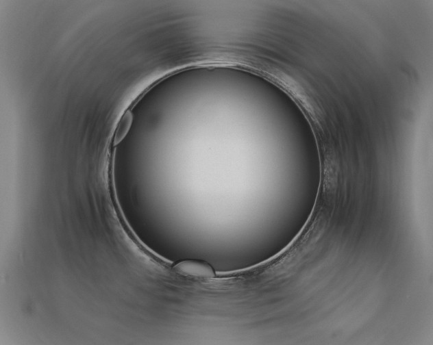 X0000113951484200909251328