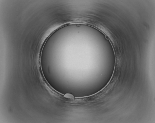 X0000113951485200909251328