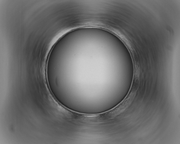 X0000113951486200909251328