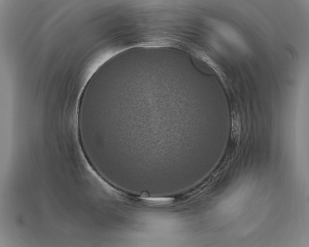 X0000113951487200909251328