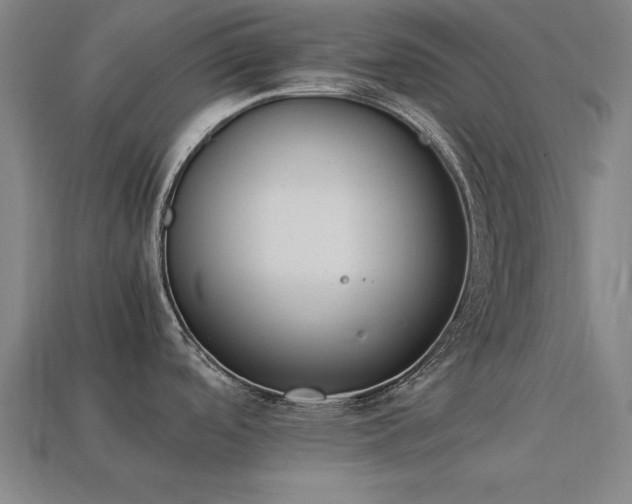 X0000113951488200909251328