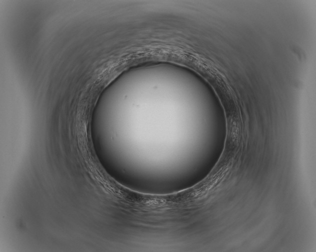 X0000113951489200909251327