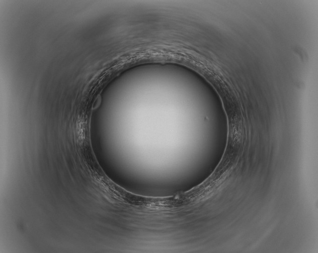 X0000113951490200909251328