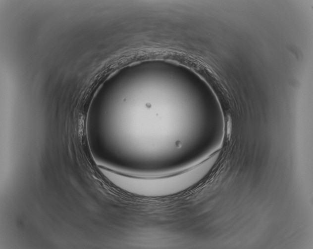 X0000113951492200909251328