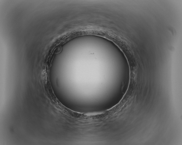 X0000113951493200909251328