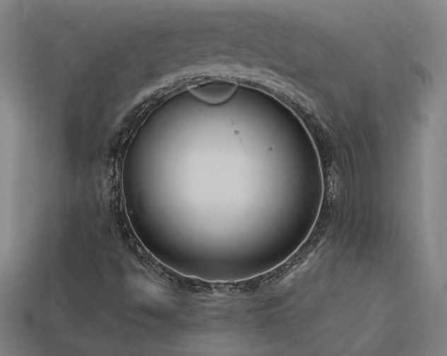 X0000113951494200909251328