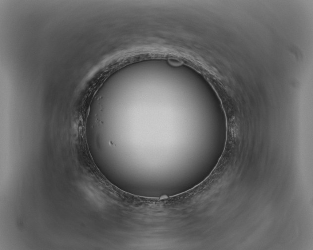 X0000113951495200909251328