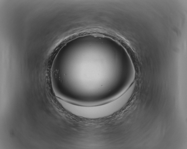 X0000113951496200909251328