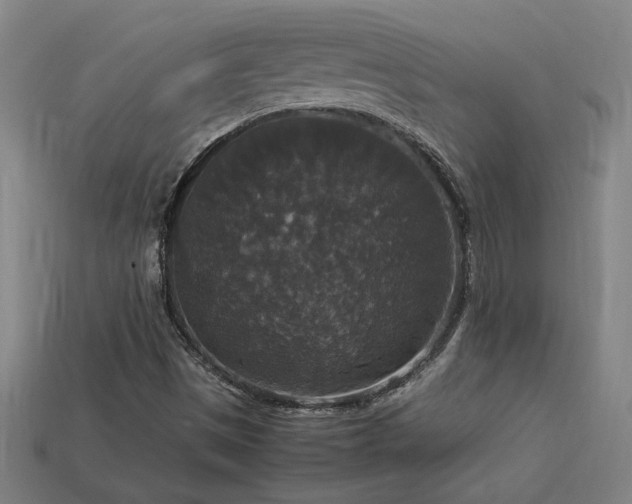 X0000113951497200909251328