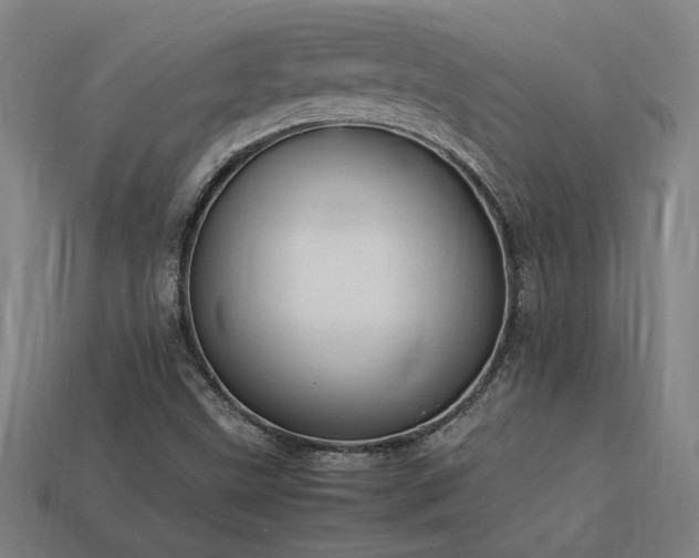 X0000113951499200909251328