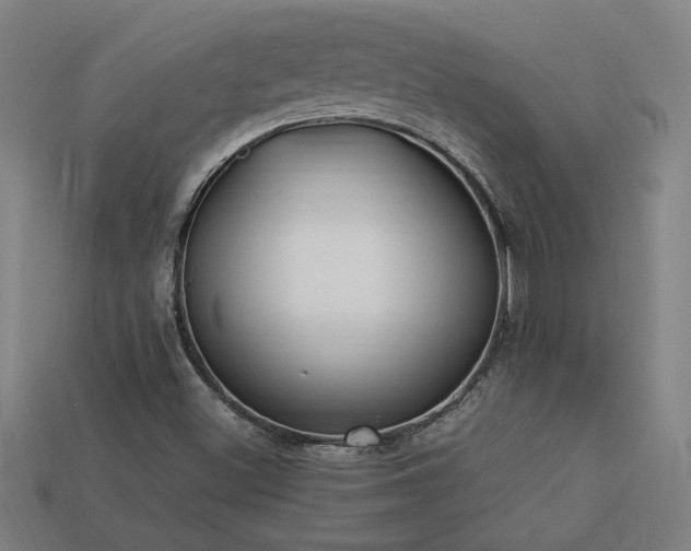 X0000113951500200909251328