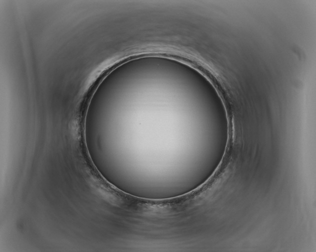 X0000113951501200909251328