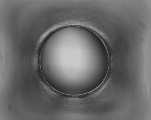X0000113951502200909251328