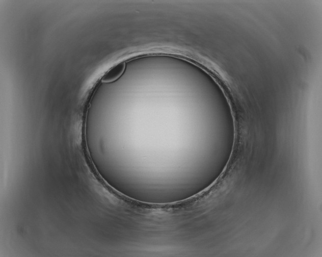 X0000113951504200909251328