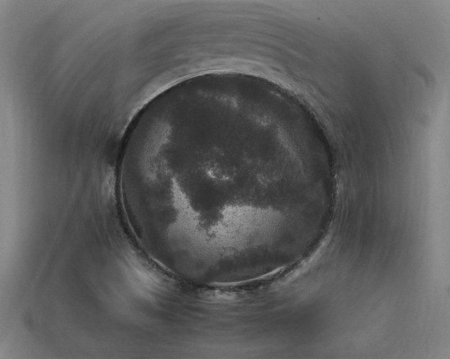 X0000113951505200909251328