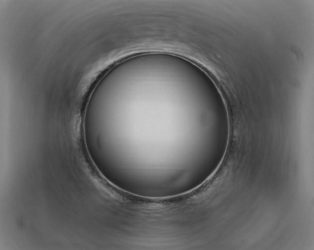 X0000113951507200909251328
