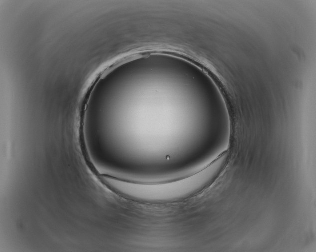 X0000113951508200909251328