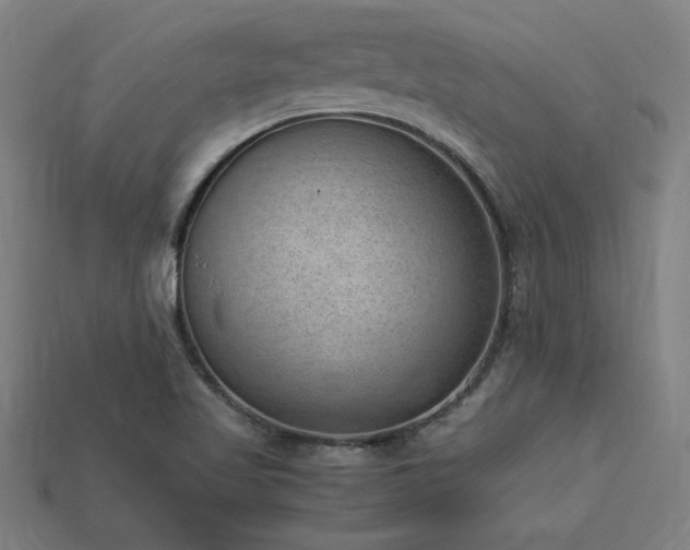 X0000113951509200909251328
