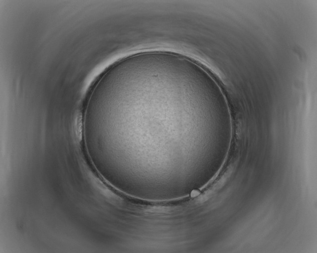 X0000113951510200909251328
