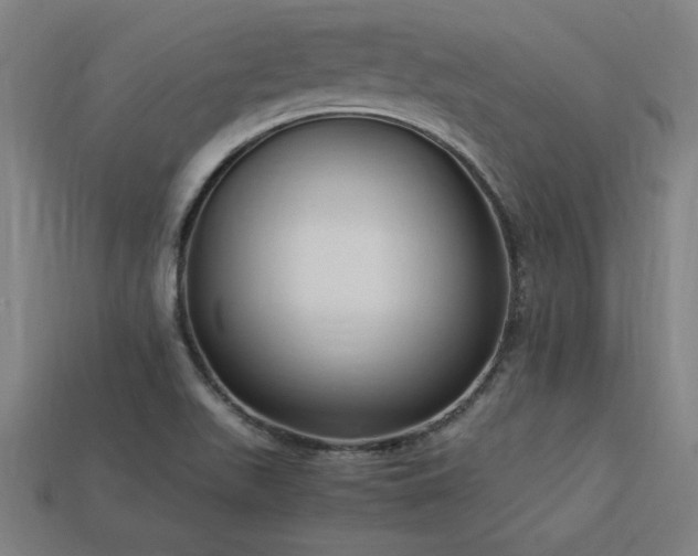 X0000113951511200909251328