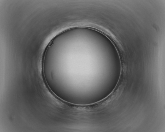 X0000113951512200909251328