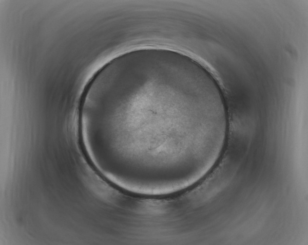 X0000113951514200909251328