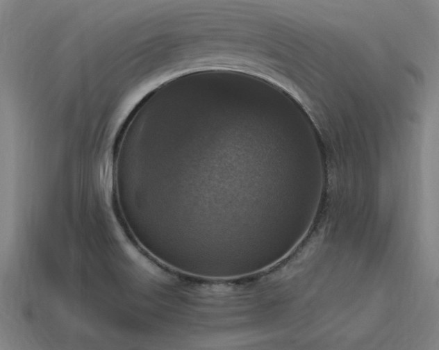 X0000113951515200909251328