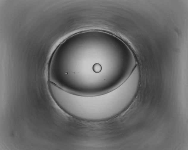X0000113951516200909251328