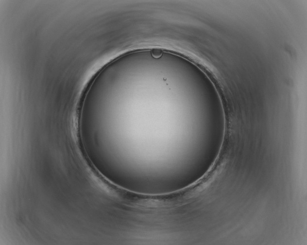 X0000113951517200909251328