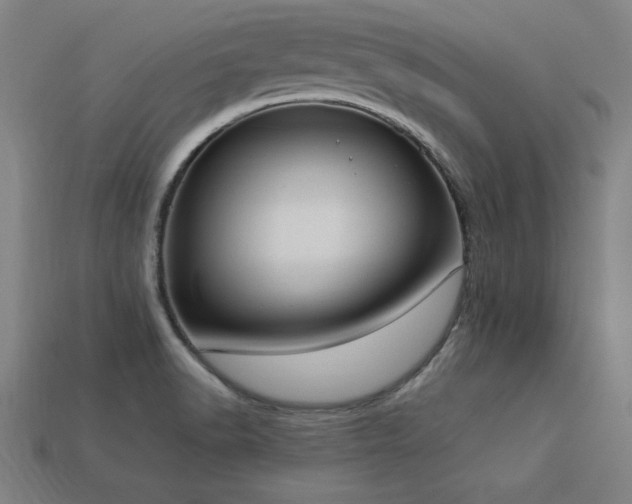 X0000113951518200909251328