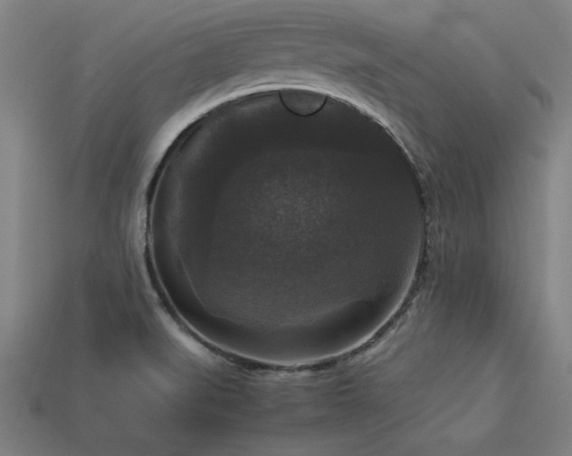 X0000113951519200909251328