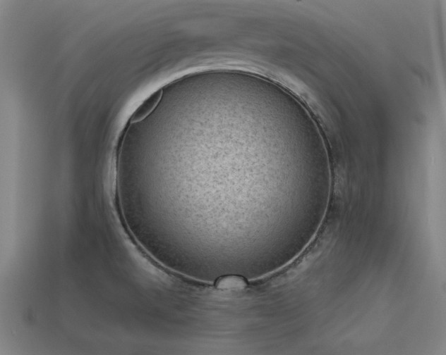 X0000113951520200909251328