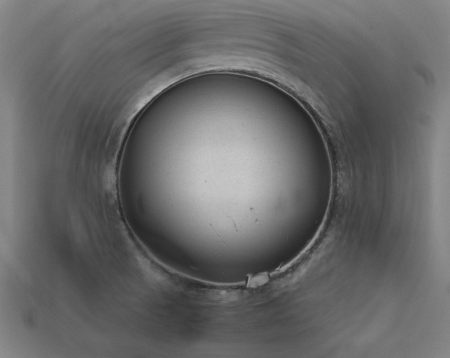 X0000113951521200909251328