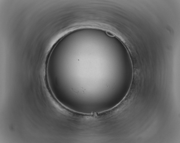X0000113951523200909251328