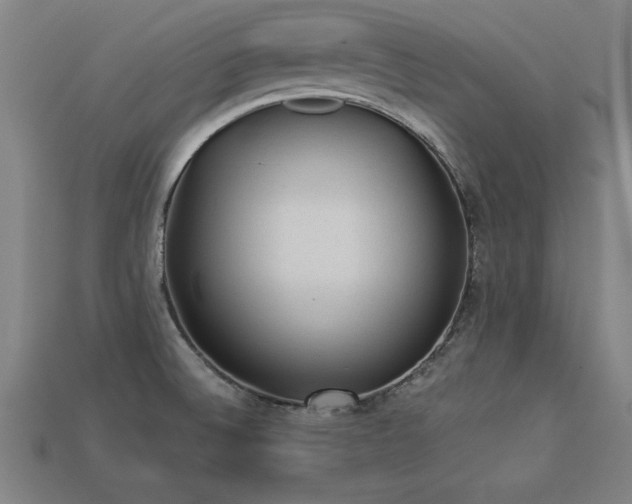 X0000113951524200909251328